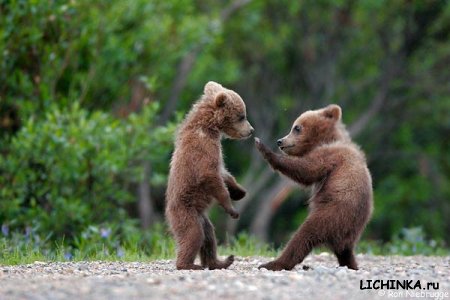 Увеличить картинку