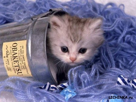 Увеличить картинку