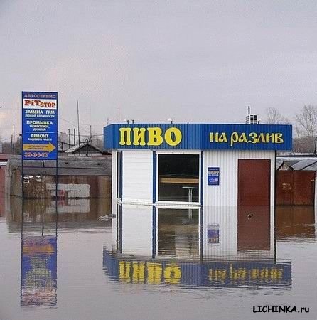 Увеличить картинку