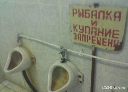 Увеличить картинку