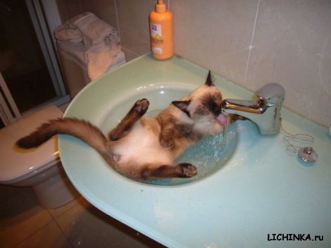 Увеличить картинку