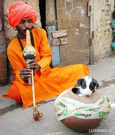 Увеличить картинку