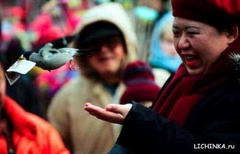 Увеличить картинку