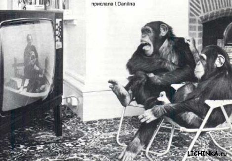 Увеличить картинку