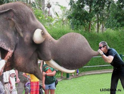 Увеличить картинку