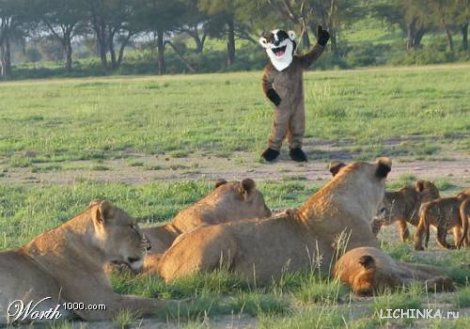 Увеличить картинку