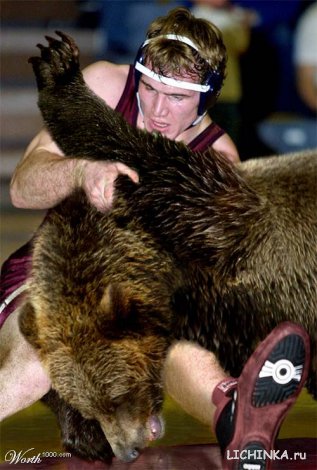 Увеличить картинку