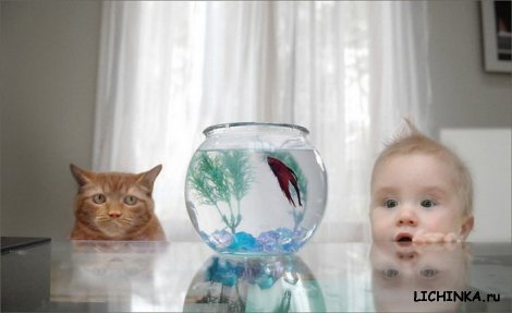 Увеличить картинку