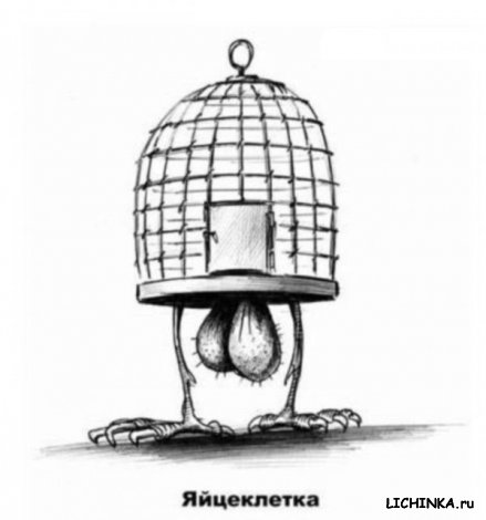 Увеличить картинку