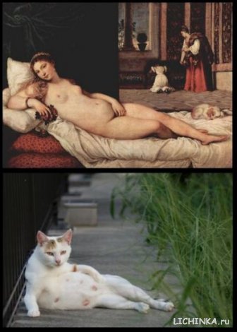 Увеличить картинку