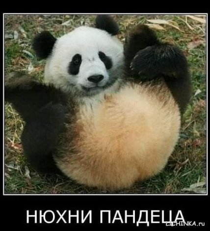 Увеличить картинку