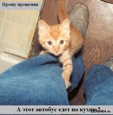 Увеличить картинку