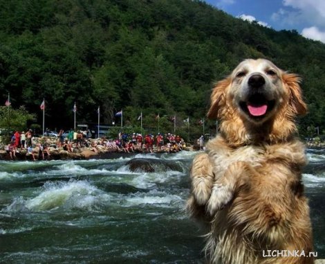 Увеличить картинку