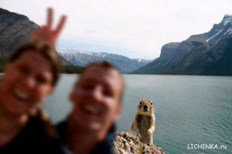 Увеличить картинку