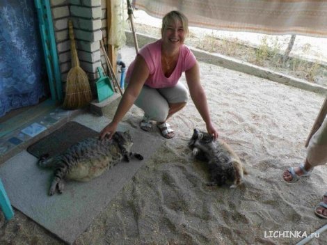 Увеличить картинку