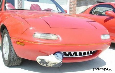 Увеличить картинку