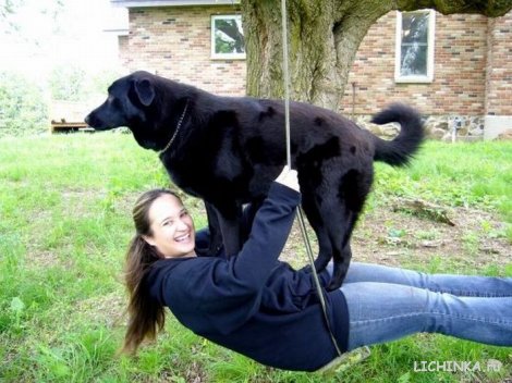 Увеличить картинку