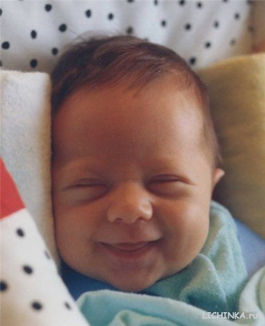 Увеличить картинку