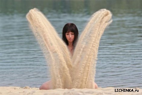 Увеличить картинку