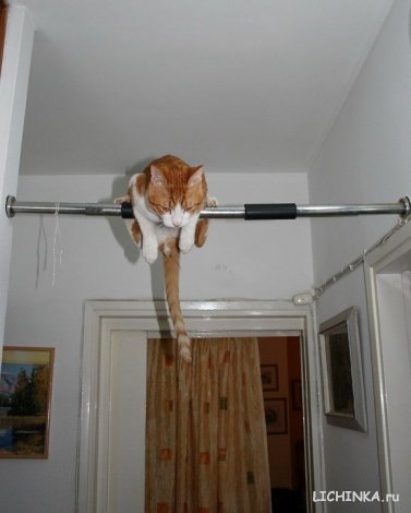 Увеличить картинку