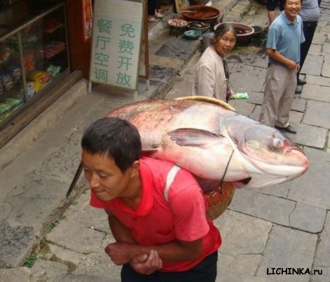 Увеличить картинку