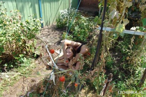 Увеличить картинку