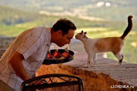 Увеличить картинку