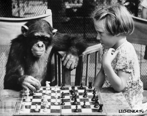 Увеличить картинку