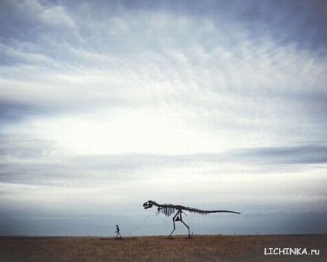 Увеличить картинку