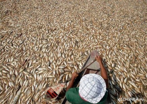 Увеличить картинку