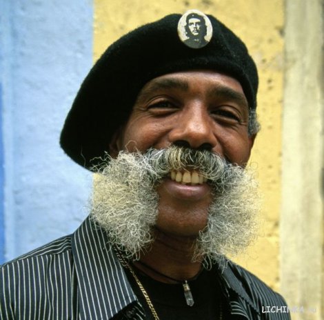 Увеличить картинку